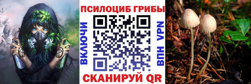 Псилоцибиновые грибы GOLDEN TEACHER  даркнет сайт  Ильский 